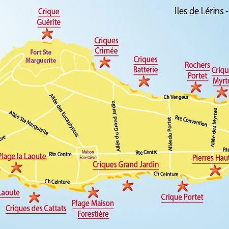 Palais Des Festivals